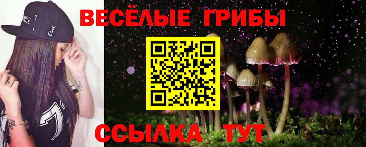 Псилоцибиновые грибы мицелий  Псилоцибиновые грибы ЛСД  Вход с VPN  Приморско-Ахтарск 